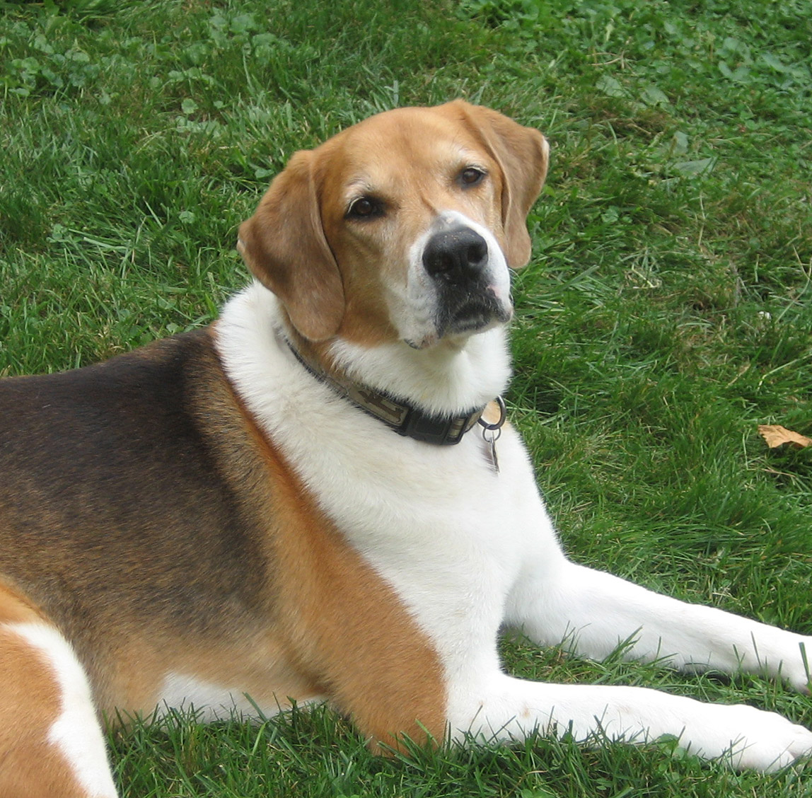cooper-new-img
